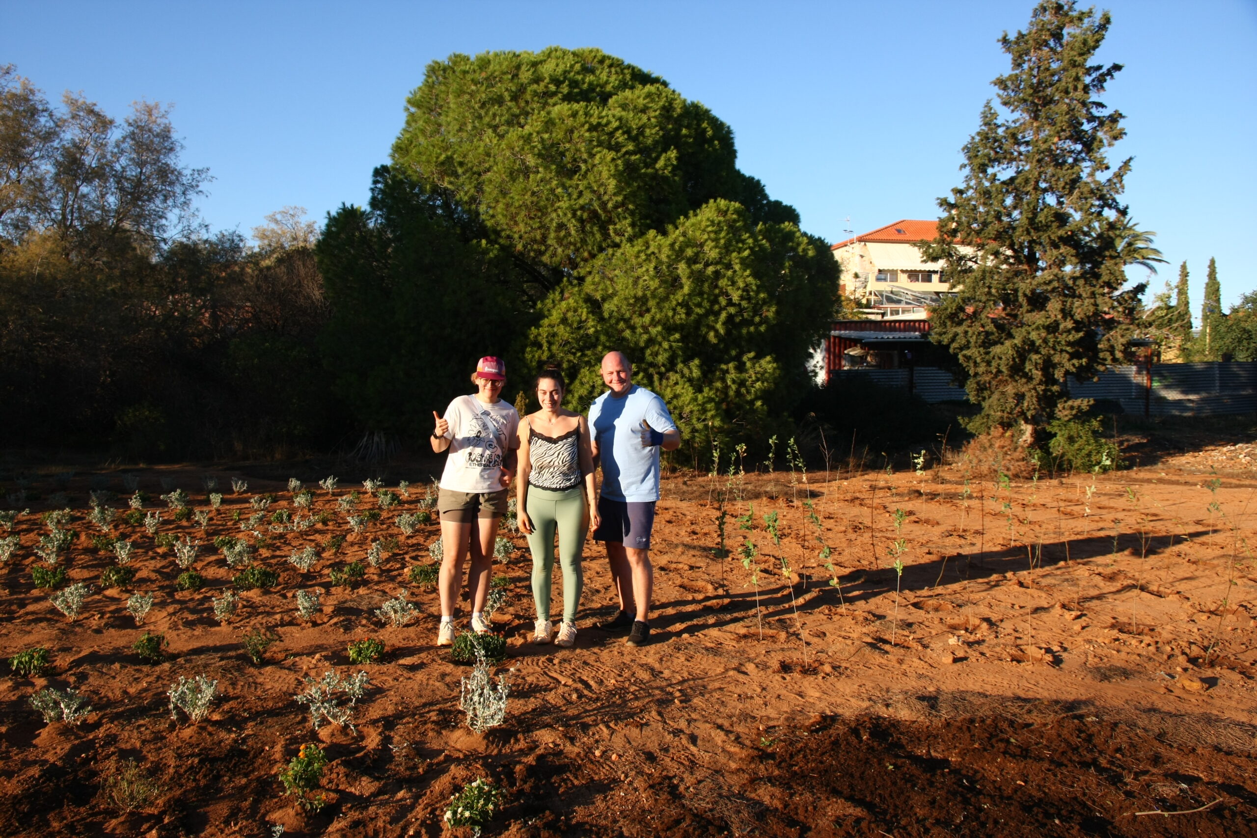 Pilot demonstration of phytoremediation and phytomining technologies begins at the Lavrion Technological Cultural Park
