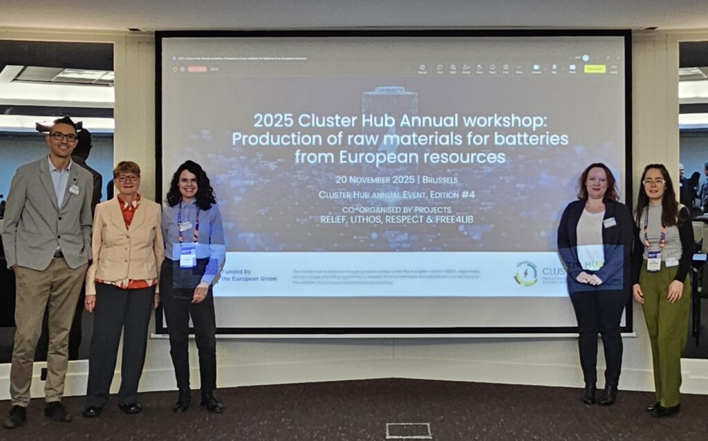 with colleagues of METALLICO and RAWMINA projects